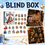24-Day Silly Basset Hound Advent Calendar 2026, 24Pcs 2D Acrylic Funny Dog Ornaments Blind Box, Christmas Countdown Hanging Charms for Tree Decor, Gift for Basset Hound Lovers