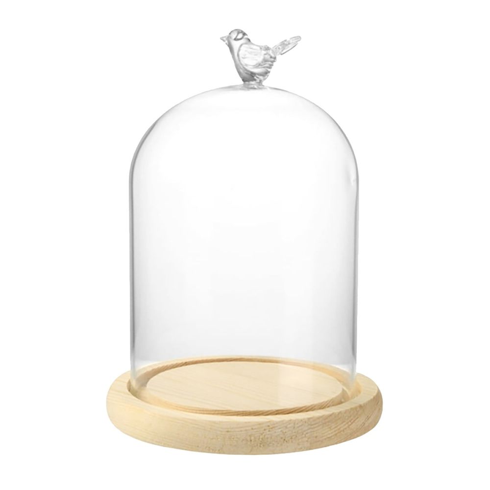 Glass Cloche Dome with Rustic Wooden Base, Bell Jar Display for Plants, Fairy Lights, Table Decor, Terrarium, Cake Cover, Wedding Centerpiece, Home Decor, Display Case