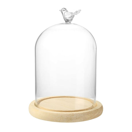 Glass Cloche Dome with Rustic Wooden Base, Bell Jar Display for Plants, Fairy Lights, Table Decor, Terrarium, Cake Cover, Wedding Centerpiece, Home Decor, Display Case