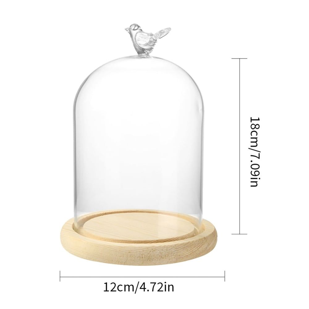 Glass Cloche Dome with Rustic Wooden Base, Bell Jar Display for Plants, Fairy Lights, Table Decor, Terrarium, Cake Cover, Wedding Centerpiece, Home Decor, Display Case