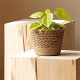 Straw Weaving Flower Plant Pot Wicker Basket Rattan Flowerpot Storage Basket Handmade Woven Planter Basket S