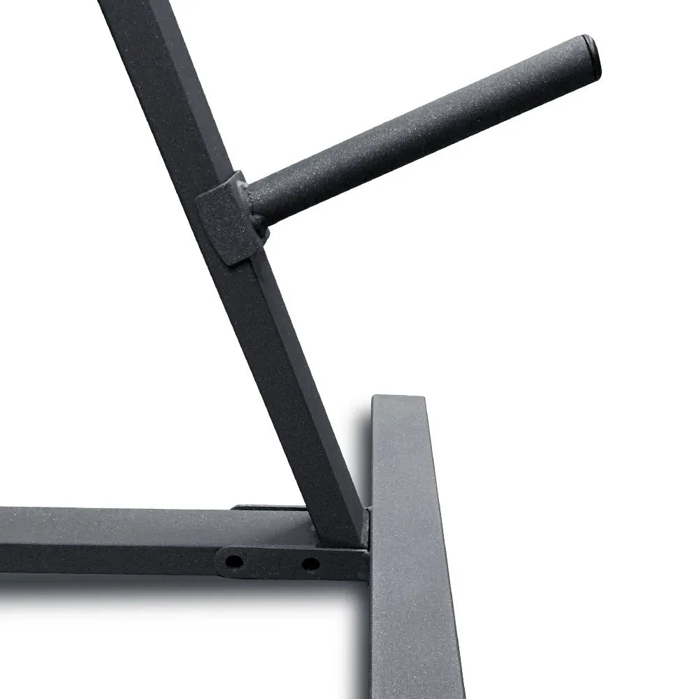 Standard Gym Weight Plates Storage Rack Tree