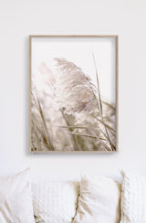 Wall Art 50cmx70cm Pampas Grass 2 Sets Wood Frame Canvas