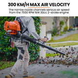 MTM 30CC Backpack Petrol Leaf Blower Yard Garden Commercial Outdoor