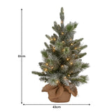 Christabelle 61cm Pre-Lit Snowy Stamford Spruce Battery-Operated Mini Christmas Tree Multi-Functional LED Timer