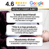 Laura Hill 600gsm Faux Mink Blanket Queen Size Double-sided Throw Rug Large Super Luxurious Soft - Green