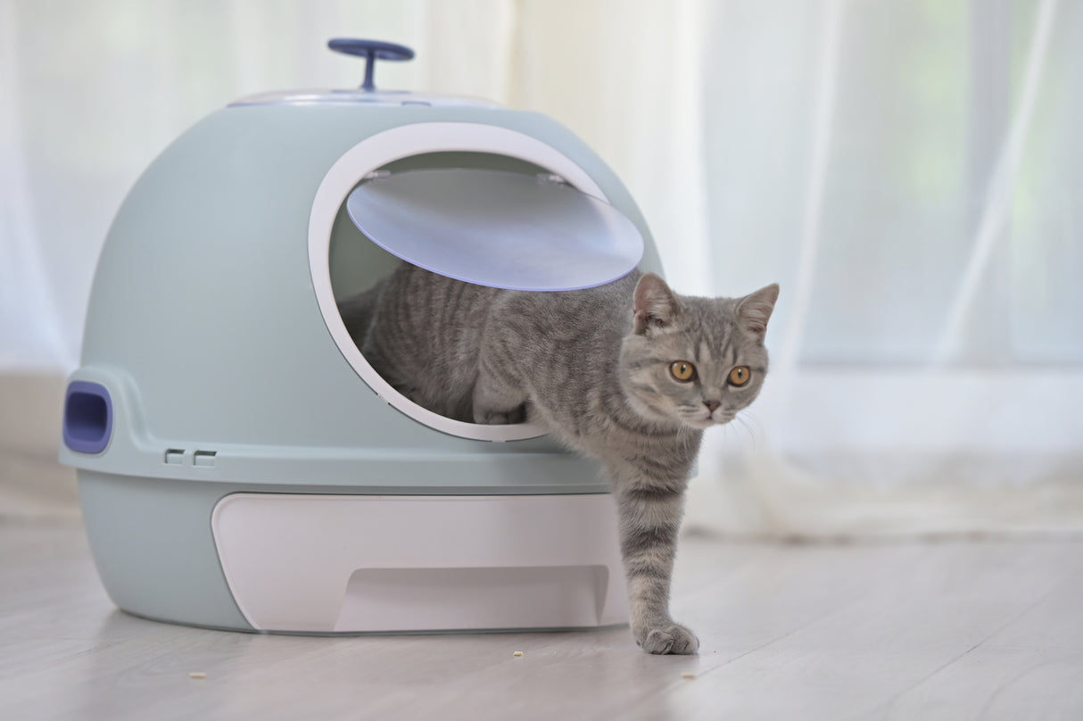 YES4PETS Cat Toilet Litter Box Tray House W Sky window Drawer Photocatalyst Purifier Blue