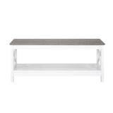 Coastal Coffee Table in White and Grey