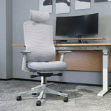 Lifespan Fitness DM8 Ergonomic Office Desk Chair (White/Grey)