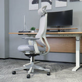 Lifespan Fitness DM8 Ergonomic Office Desk Chair (White/Grey)
