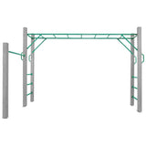 Lifespan Kids Amazon Monkey Bars Only (3m)