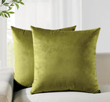 Twin-Pack Velvet Cushion Covers - Soft Microfibre Cushion Covers with Hidden Zipper (Green, 45cm*45cm)