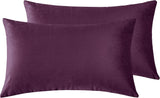 Twin-Pack Velvet Cushion Covers - Soft Microfibre Cushion Covers with Hidden Zipper (Plum, 30cm*50cm)