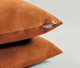 Twin-Pack Velvet Cushion Covers - Soft Microfibre Cushion Covers with Hidden Zipper (Terracotta, 65cm*65cm)