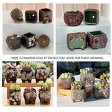 4/5/6 Pots Set Ceramic Clay Pottery Pots Succulent Flower Planter Draining Hole(Style 05# 6 Pots Set)