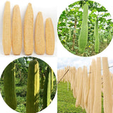 Natural Loofah Sponge Kitchen Scrubber for Dishwashing Pot Cleaning 5 Pack