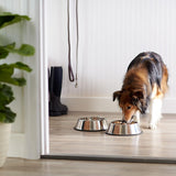 Non Slip Stainless Steel Dog Bowl Pet Cat Water Food Feeder Portable Puppy Dish - Large (500ml)