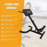 45 Degree Hyperextension Bench for Abdominal and Lower Back Strength Training Exercise