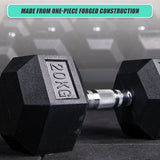 20KG Commercial Rubber Hex Dumbbell Gym Weight