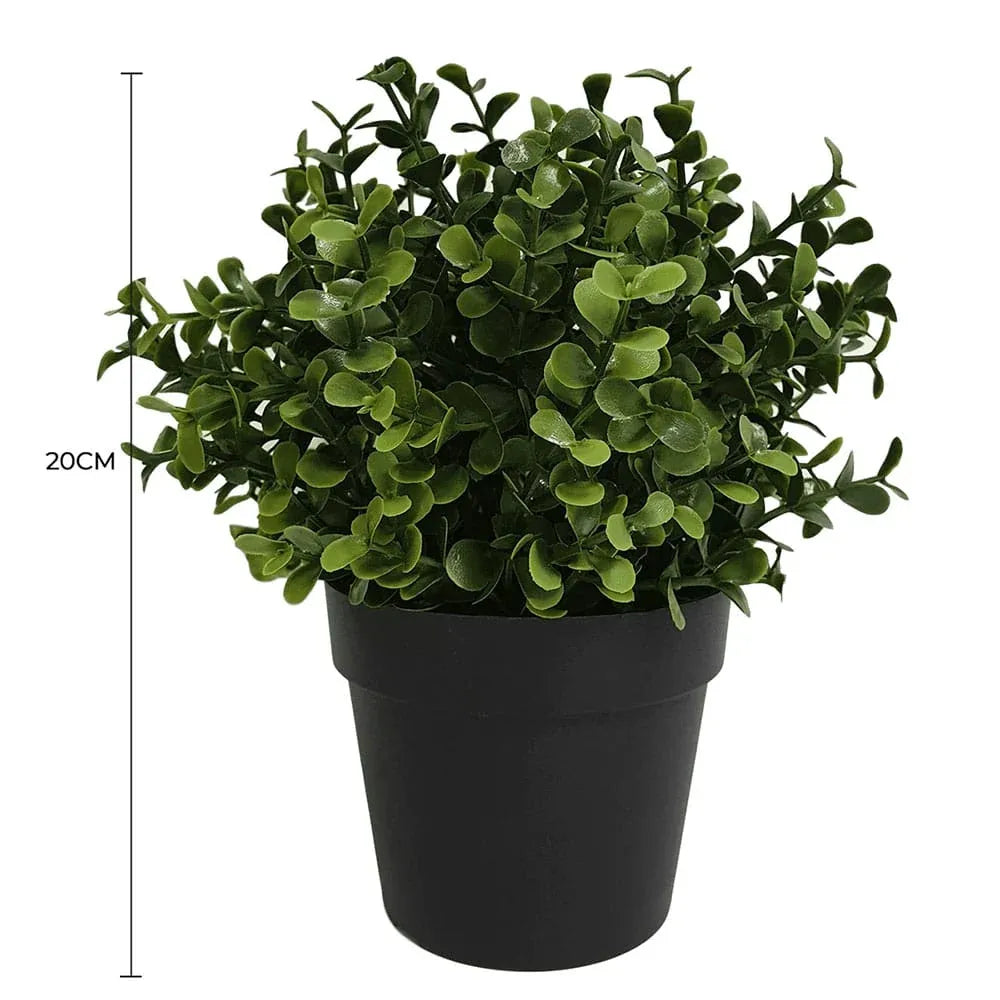 Small Potted Artificial Buxus Plant UV Resistant 20cm