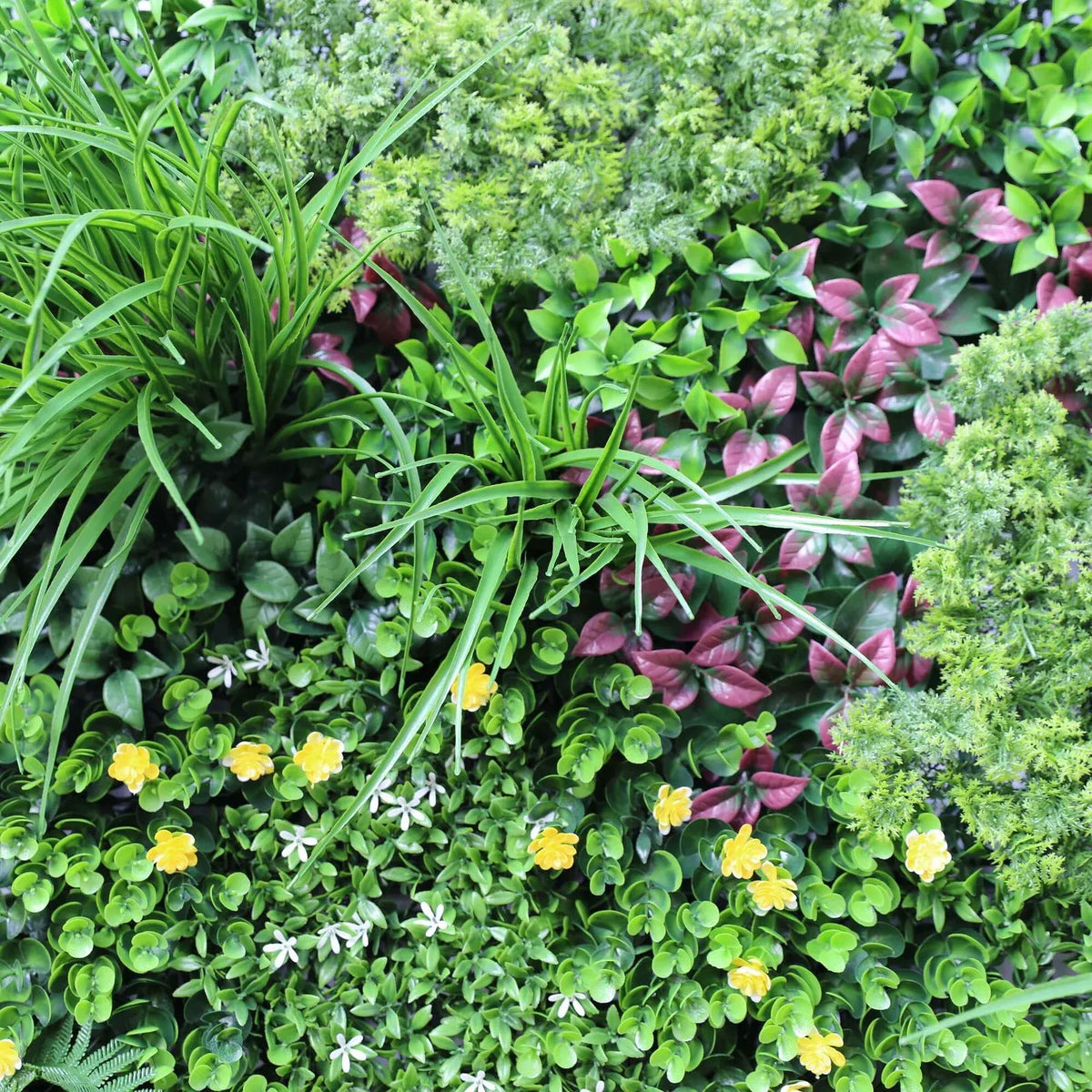 Luxury Country Fern Recycled Vertical Garden / Green Wall UV Resistant 100cm X 100cm