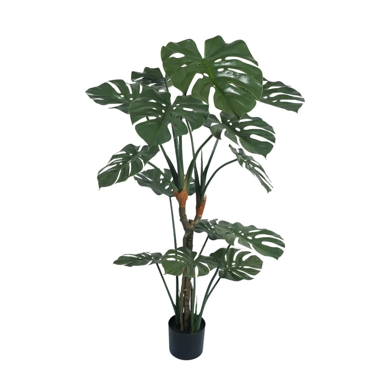 Premium Potted Monstera Split Leaf 150cm UV Resistant