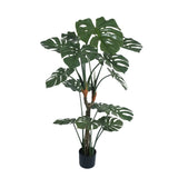 Premium Potted Monstera Split Leaf 150cm UV Resistant