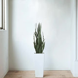 Artificial Snake Plant Sansevieria UV Resistant 90cm