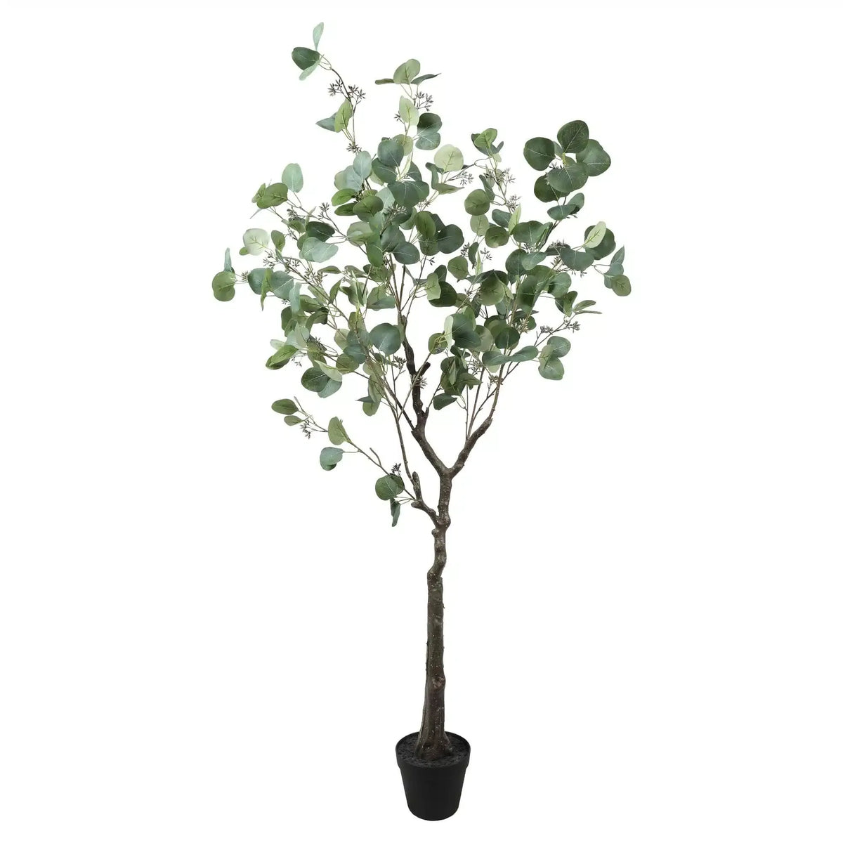Artificial Eucalyptus Tree (Red Box Eucalyptus Polyanthemos) 150cm