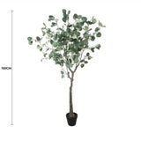 Artificial Eucalyptus Tree (Red Box Eucalyptus Polyanthemos) 150cm