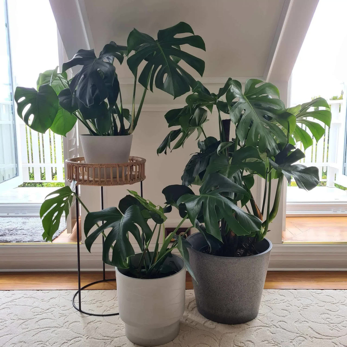 Rendered White Planter Pot 25cm