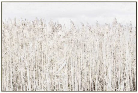 Pampas Grass Framed Canvas Wall Art 120cm