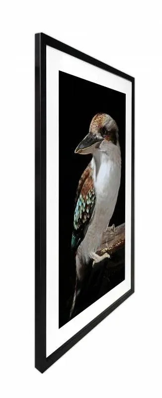 Mystery Kookaburra Artwork Framed W Glass Front 80x120cm