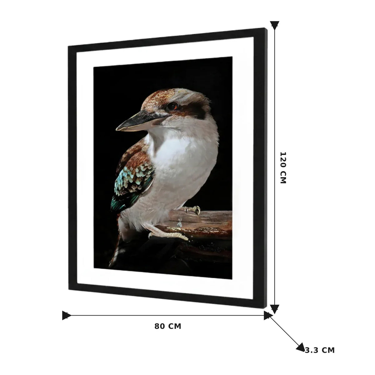 Mystery Kookaburra Artwork Framed w Glass Front 120cm