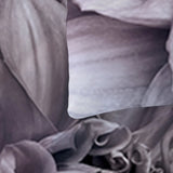Marigold Portofino Dream Quilt / Doona / Duvet Cover set