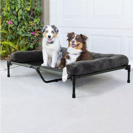 P&P Pet Cot with Bolster Support and Breathable Mesh Design for Dogs to Lounge(XL)