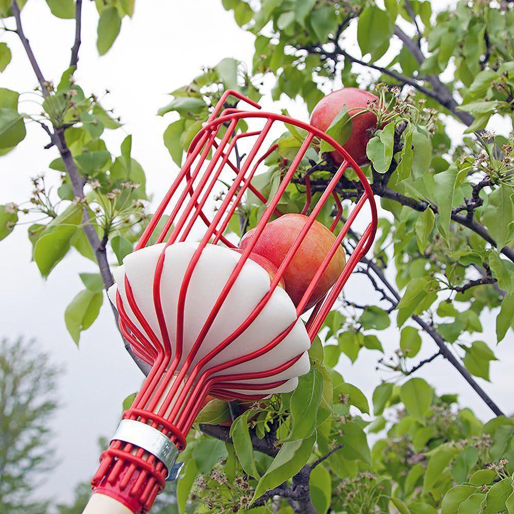 Fruit picking tool with telescopic pole - stainless steel fruit picking pole, high altitude tree fruit picking tool 1.6m