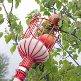 Fruit picking tool with telescopic pole - stainless steel fruit picking pole, high altitude tree fruit picking tool 2.4m