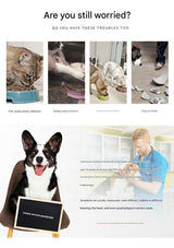 Elevated Pet Feeding Bowl with Stainless Steel Inner - Promotes Healthy Digestion & Reduces Neck Strain(blue)