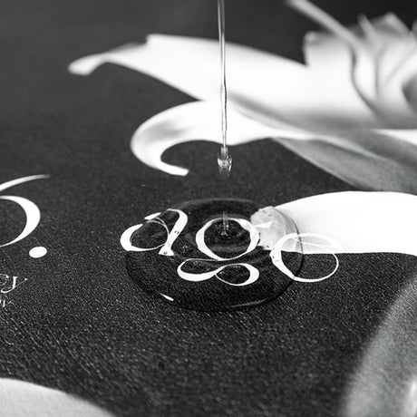 Elegant Floral Print Absorbent Floor Mat - Quick Dry, Non-Slip, Easy Clean Bathroom & Entryway Rug(Black and White)