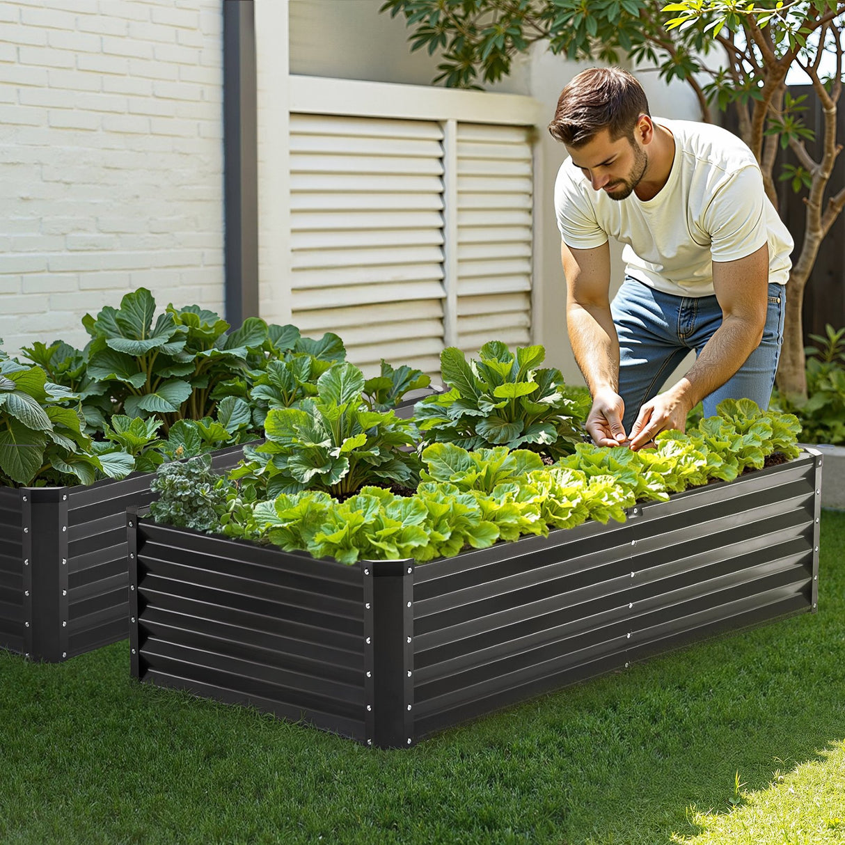 VEVOR Metal Raised Garden Bed, 6 x 3 x 1.5 ft Outdoor Galvanized Planter Box, with Open Bottom, Large Planter Raised Bed for Gardening Vegetables, Flowers, Herbs, and Succulent Plants, Dark Gray