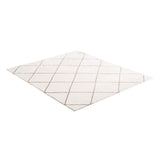 Indoor Plush Area Rugs, 2.44 x 3.05m Plush Carpet, Area Rugs Furry with Long Plushs Pile, Thick & Durable High-Pile Rug for High-Traffic Areas, Bedroom, Non-Shedding & Non-Slip Backing, Beige