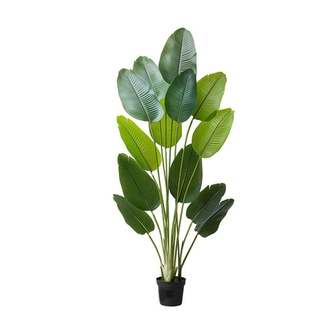 Artificial Bird of Paradise 1829 mm Tall, Fake Tropical Plants with with 13 Trunks & White Pot, Faux Floor Silk Tree, Large Trees for Home Office Living Room Decor House Warming, Indoor Outdoor