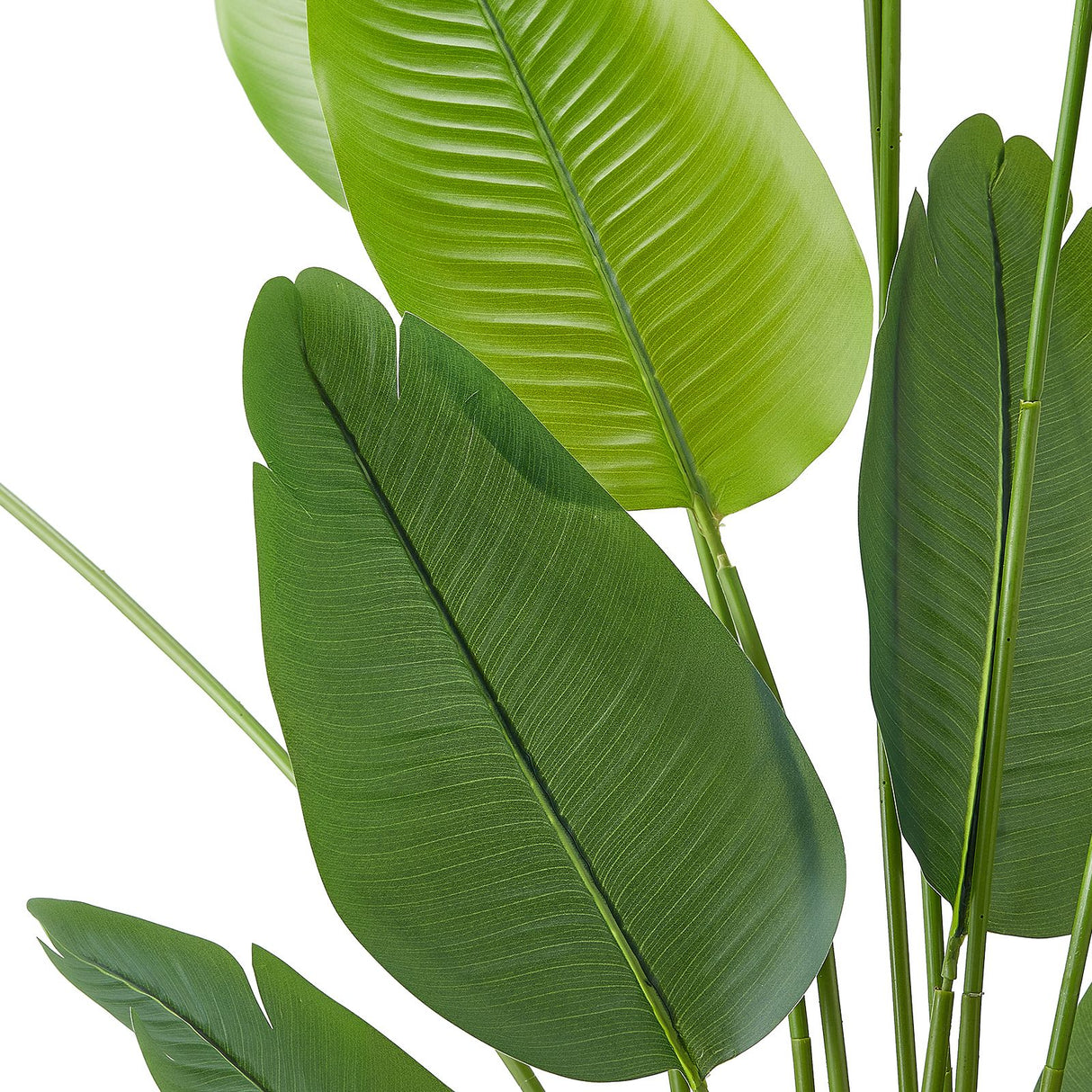 Artificial Bird of Paradise 1829 mm Tall, Fake Tropical Plants with with 13 Trunks & White Pot, Faux Floor Silk Tree, Large Trees for Home Office Living Room Decor House Warming, Indoor Outdoor