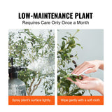 Artificial Olive Tree, 15.2cm Tall Faux Plant, Secure PE Material & Anti-Tip Tilt Protection Low-Maintenance Plant, Lifelike Green Fake Potted Tree for Home Office Warehouse Decor Indoor Outdoor