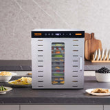 10 Trays Food Dehydrator Machine Stainless Steel 1000W Jerky Fruit Drying