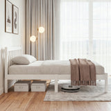 Sofie White Bed Frame Queen Size