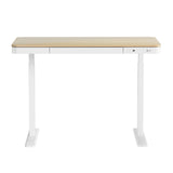 Sit Stand Desk White & Oak