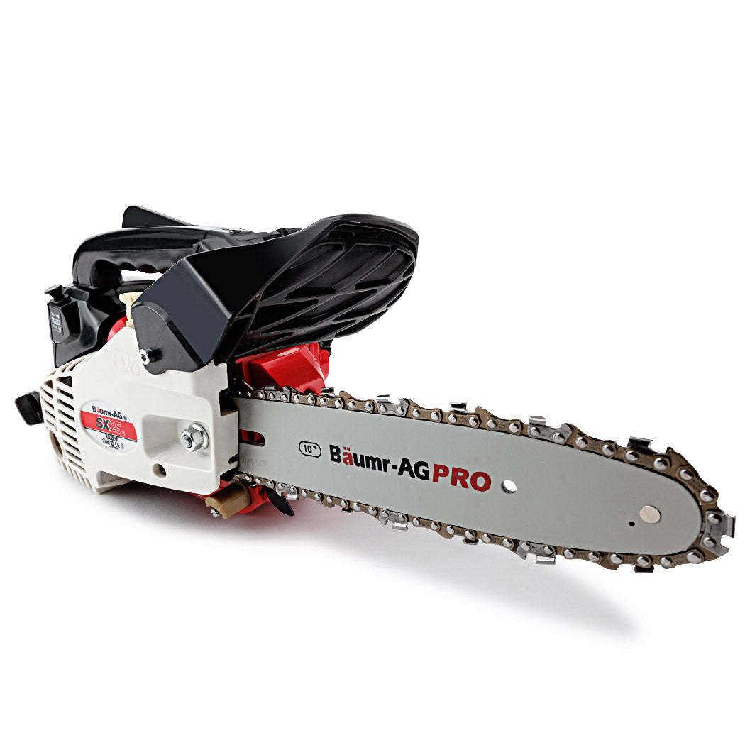 Baumr-AG 25CC Petrol Chainsaw Arborist 10 Bar Tree Pruning Garden Chain Saw