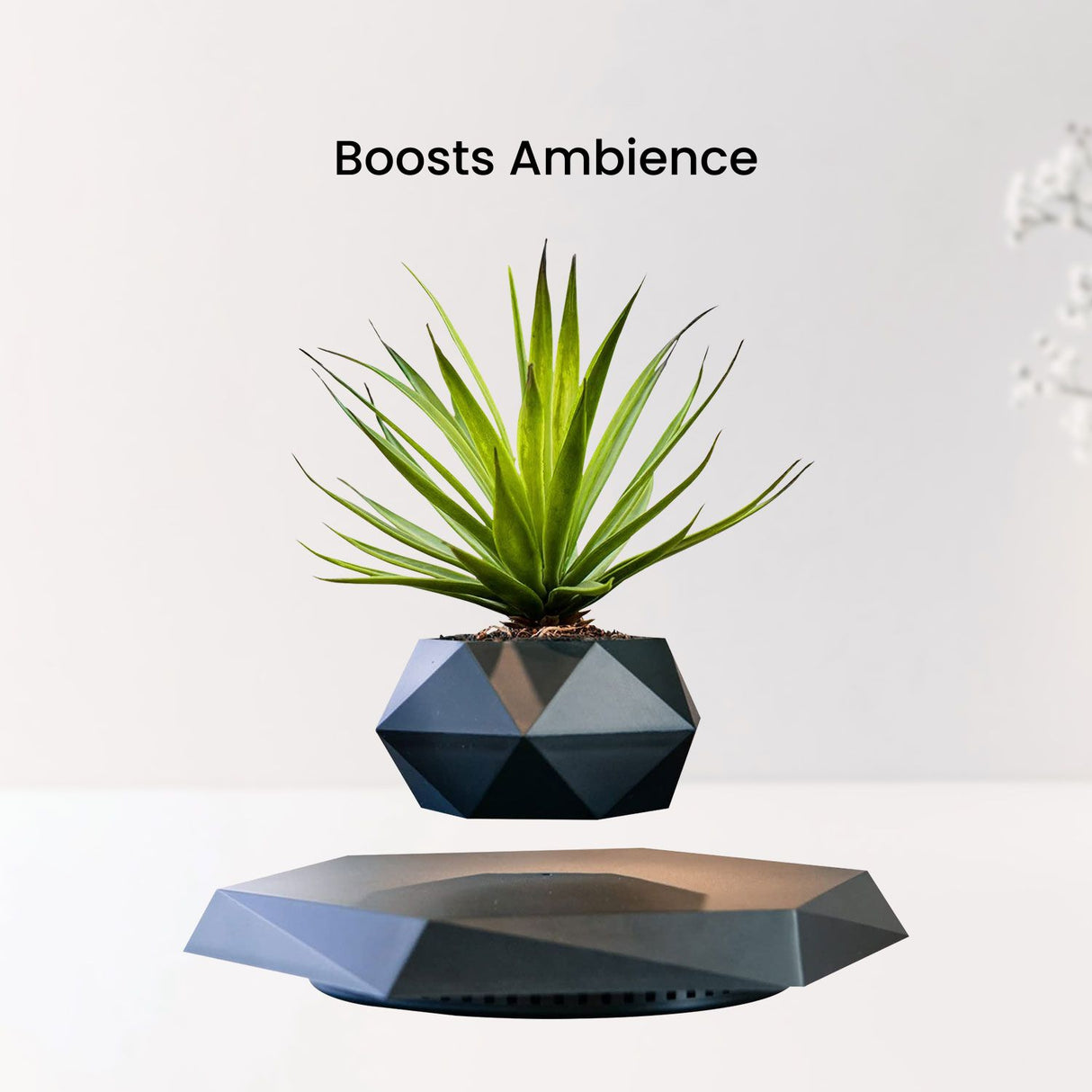 GOMINIMO Magnetic Levitating Plant Pot Black